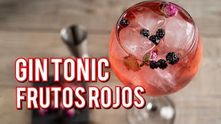 GIN AND TONIC DE FRUTOS ROJOS 🍓 bartender [upl. by Iaj]