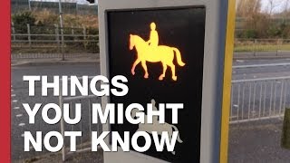 There Are Special Crossings For Horses In Britain [upl. by Liederman638]