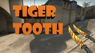 CSGO  Flip Knife  Tiger Tooth Showcase [upl. by Ilojna]