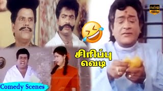 எத்தனை முறை பார்த்தாலும் சலிக்காத காமெடி காட்சி  Pandiarajan S S Chandran  Comedy HD Video [upl. by Pain]