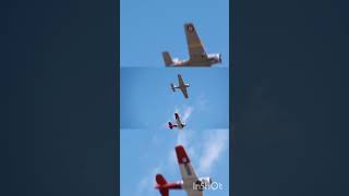 RNZAF North American Havard CAC Winjeel militaryaviation aviation shorts [upl. by Wennerholn]