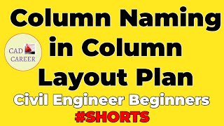 Column Naming in Column Layout Plan  SHORTS  Civil Engineers Beginners [upl. by Ahsyek]