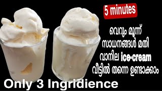 ice cream recipe vanila icecreammalayalamrecipelifeworld01 [upl. by Gmur]