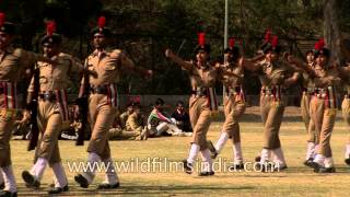 Stride with pride  NCC cadets perform march past in India [upl. by Ihcekn]