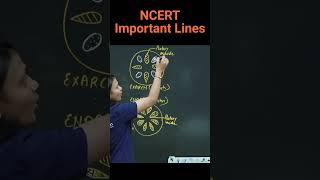 Exarch amp Endarch  tips amp tricks  Revision Biology NEET  NCERT important lines for NEET  neet [upl. by Harts]