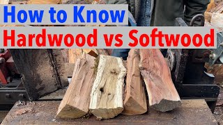 What is the Difference Between Hardwood amp Softwood [upl. by Luapleahcim]