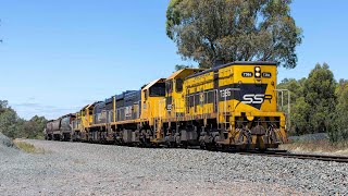 T386 XR552 XR553 amp T363 at Porcupine Hill [upl. by Le160]