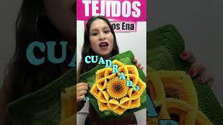 Bonito cuadrado con flor tejido a crochet para colchas y fundas de cojines [upl. by Violette]