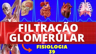 FILTRAÇÃO GLOMERULAR REABSORÇÃO E SECREÇÃO FISIOLOGIA HUMANA  FISIOLOGIA RENAL  GUYTON [upl. by Craig]