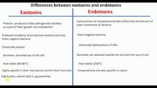 Overview of toxins  Exotoxins vs Endotoxins  Differences between Exotoxins amp Endotoxins [upl. by Jonas]