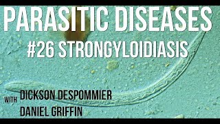 Parasitic Diseases Lectures 26 Strongyloidiasis [upl. by Lyontine]