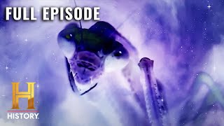 Ancient Aliens INSECT GODS OF DEEP SPACE S7 E7  Full Episode [upl. by Yrahk661]