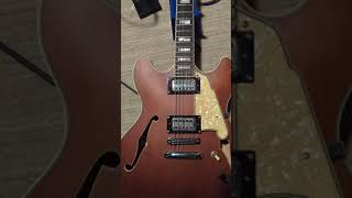 Dangelico premier DC XT guitar demo  stock Seymour Duncan psyclone pickups [upl. by Yeblehs]