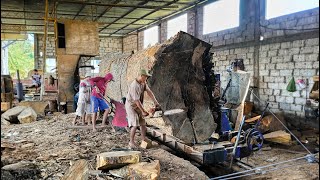 Gergaji terbaik dibuat belah kayu trembesi berusia 80 tahun  menghasilkan papan I sawmill [upl. by Gazzo]