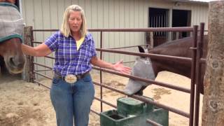 The Benefits of Using an Automatic Waterer for Horses [upl. by Sidhu]