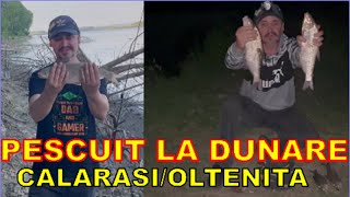 Pescuit la Dunare pe Calarasi Oltenita [upl. by Meehar]