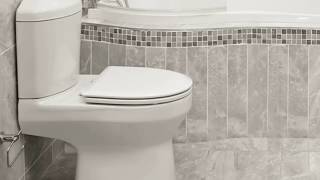 Origami Toilet Dual Top Flush Toilet Suite BE1WH408 [upl. by Helena]