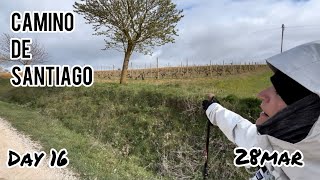 Ledigos to Bercianos del Real Camino…Half way [upl. by Decamp]