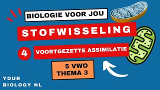 5 vwo  Stofwisseling  4  Voortgezette assimilatie amp vouwing van eiwitten [upl. by Ayo]