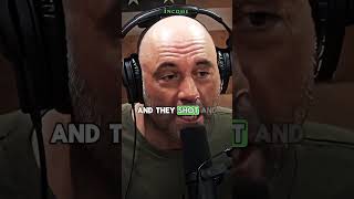 Hunters vs Wolf Pack 🐺⚡️joerogan story interesting viral facts explore shorts [upl. by Aneehsyt]