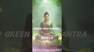 ☸️ Welcome to the chill zone of serenity 🧘 欢迎踏入舒心的小天地 🙏 greentaramantra 绿度母 心咒 buddhistmantra [upl. by Lytsirhc]