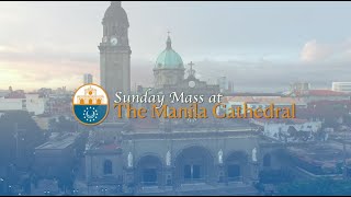 Sunday Mass at the Manila Cathedral  November 17 2024 1000am [upl. by Gautier332]