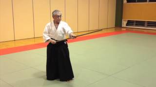 Aikido Jo Demonstration  The Basics for Beginners [upl. by Etheline710]