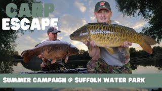 SUMMER CAMPAIGN  SUFFOLK WATER PARK  CARP ESCAPE [upl. by Ased]