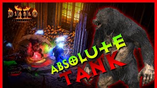 Diablo 2 Resurrected  The New Maul Werebear Druid is a Tank 24 Ladder PTR Build [upl. by Aker535]