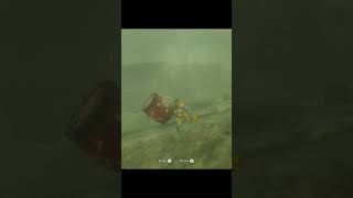 BLSS with a bomb barrel zeldabotw zelda zeldatotk botw glitch [upl. by Ahtennek]