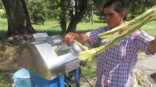 Fresh Sugarcane Juice Drink Crushed from Diesel Powered Machine [upl. by Feodor]