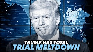 Trump Accuses Judge Of Going Crazy In Latest Trial Meltdown [upl. by Doowrehs]