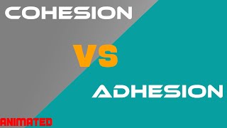 Cohesion vs Adhesion [upl. by Silletram]