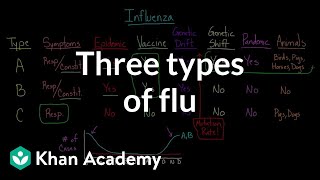 Three types of flu  Infectious diseases  Health amp Medicine  Khan Academy [upl. by Nnayllek]