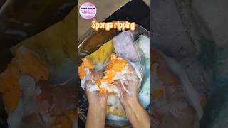 ASMR Sudsy sponge ripping VS Bleached sponge ripping😶‍🌫️🫧 shorts sponges spongeripping suds [upl. by Cheung]