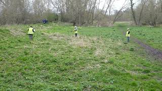 Annual count of Butterbur on Brook Meadow  2 April 2023 [upl. by Nimaj792]