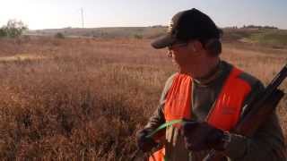 Bird Dog World Championships Richard Sipes and Charlotte [upl. by Erroll]