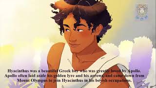 The Hyacinthus  Greek Mythology  WOM  World of Mythology [upl. by Eiral221]