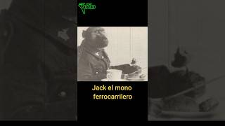 Jack el mono ferrocarrilero [upl. by Frodi]