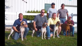 Hunting Coonhounds World Championship with Treeing Walker Winner [upl. by Hatfield]