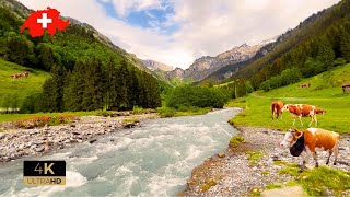 🇨🇭 Most Beautiful Places In Switzerland Lauterbrunnen Grindelwald Mürren Relaxing Walk 4K [upl. by Lontson278]