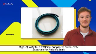 HighQuality US PTB Seal Supplier in China OEM Expertise for Reliable Seals [upl. by Kay]