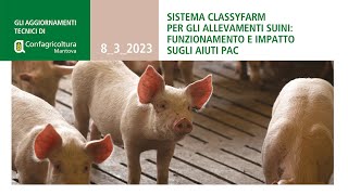 Sistema Classyfarm per gli allevamenti suini [upl. by Aikahs]