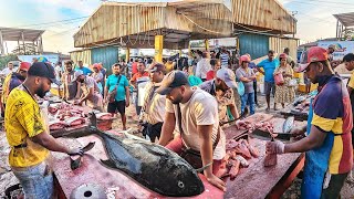 WoW ATTRACTIVE  Biggest Street Fish Cutting Fish Market Live Cutting Show Must See [upl. by Adyeren]