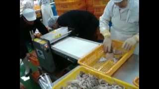 High speed cutting machine Slice loligo squid cuttlefish [upl. by Leifer]