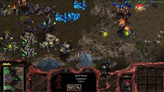 Duran gets overrun by the Zerg [upl. by Ruenhcs]