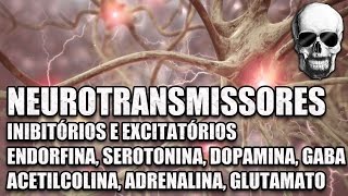 Vídeo Aula 147  Sistema Nervoso  Neurotransmissores Serotonina Dopamina e Endorfinas  Anatomia [upl. by Josy]