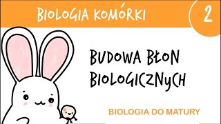 Cytologia 2  Budowa błon biologicznych błony komórkowe  biologia liceum poziom rozszerzony matura [upl. by Ynaittirb]