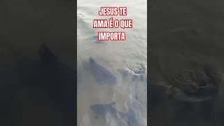 JESUS TE AMAR É O QUE IMPORTA [upl. by Areemas28]