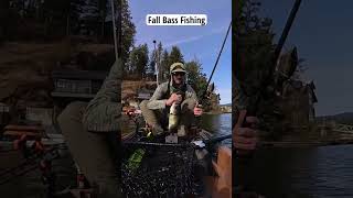 Fall bass hungry for the big stuff shorts bassfishing [upl. by Kei]